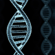 Illustration for article titled How Are 20% of Human Genes Patented?